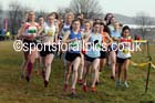 Womens under-17s and 20s North Eastern Cross Country, Aykley Heads, Durham. Photo: David T. Hewitson/Sports for All Pics
